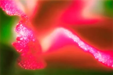 Abstraction of color and shape. Stock Photos