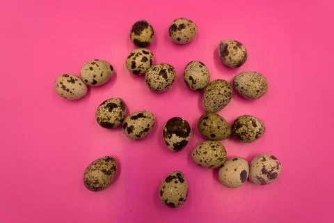 Abstraction from colored feathers with quail eggs . Stock Photos