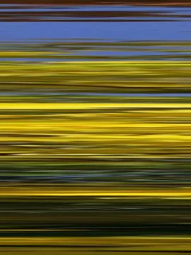 Abstraction with colored lines Stock Illustration