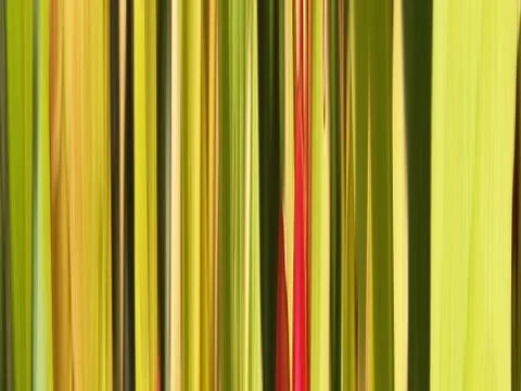 Abstraction with colored lines Stock Illustration