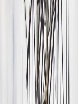 Abstraction with colored lines Stock Photos