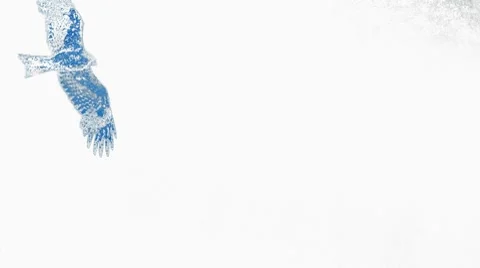 Abstraction - flight of an eagle Stock Footage 8577505