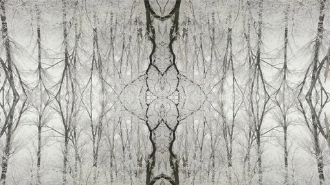 Abstraction Stock Footage 123014187