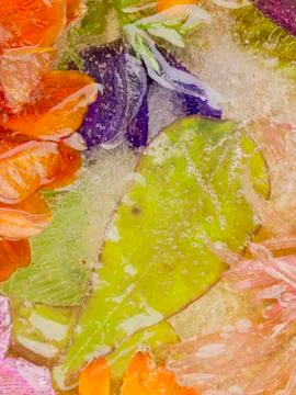 Abstraction with green leaf in ice Stock Photos