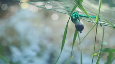 An abstraction. Green plastic mesh over the surface of the glaring water. Video stock 155886513