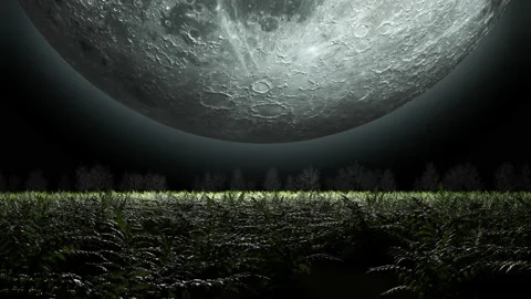 Abstraction a huge moon hangs over the field and rotates. Video stock 159134604