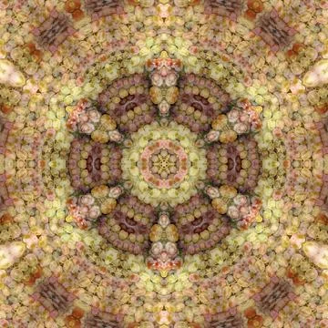 Abstraction of the image of grapes Stock Photos