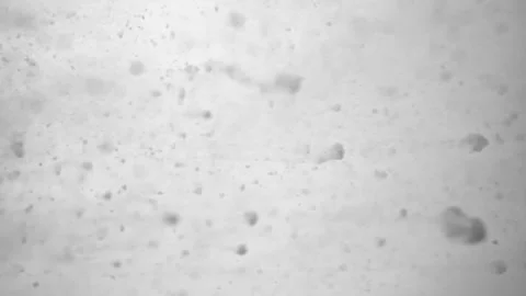 Abstraction of the movement of substances or small organisms along the flow 스톡 동영상 266031668