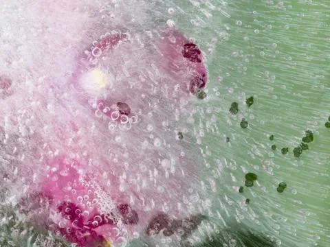 Abstraction with orchid Stock Photos