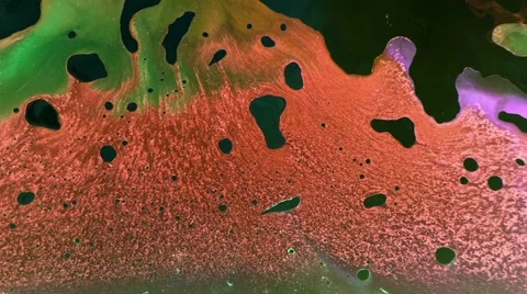 Abstraction paint Видео 51062025