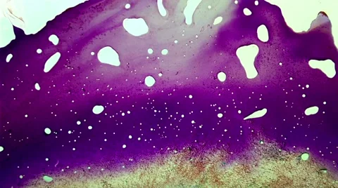 Abstraction paint 스톡 동영상 51066618