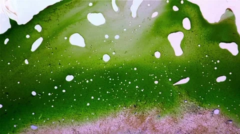 Abstraction paint Stockbeeldmateriaal 51067462