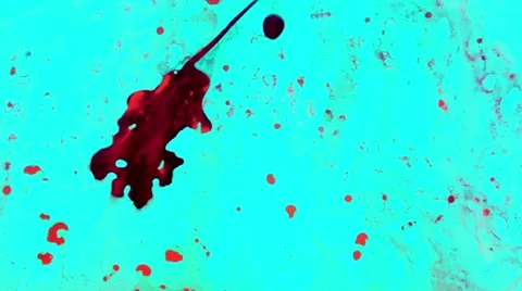 Abstraction paint Vidéo 51103024