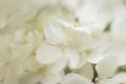 Abstraction Stock Photos