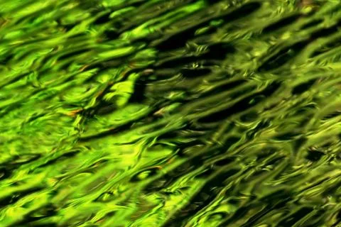 Abstraction 库存照片