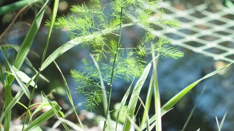 An abstraction. Plastic mesh over the surface of the glaring water and spots . Vídeos de archivo 155886592