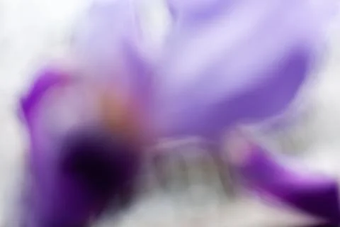 Abstraction of purple iris Stock Photos