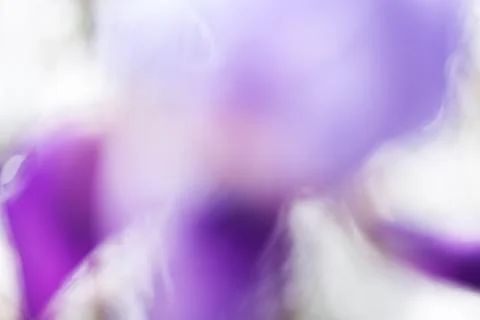 Abstraction of purple iris Foto stock gratuite