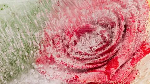 Abstraction with red rose Foto stock