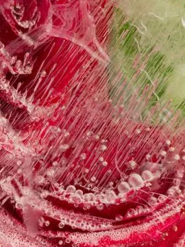 Abstraction with red rose Stock Photos
