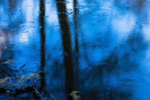 Abstraction. The reflection in the water of the sky and trees. Stock Photos