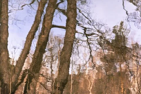 Abstraction. The reflection in the water of the sky and trees. Stock Photos