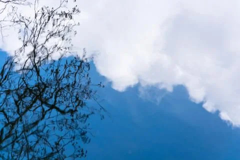 Abstraction. The reflection in the water of the sky and trees. Stock Photos