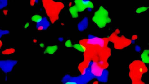 Abstraction RGB Lights Loop Background Stock Footage 207480697