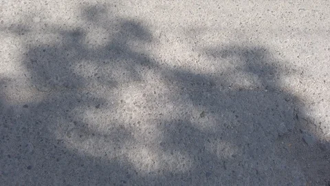 Abstraction. Shadows on the pavement. Spots of shadow. Stock-Footage 115788328