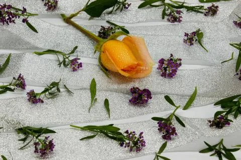 Abstraction of small violet flowers on a silver ribbon Stock Photos