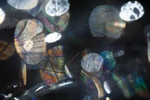 Abstraction of soap bubbles Stock Photos