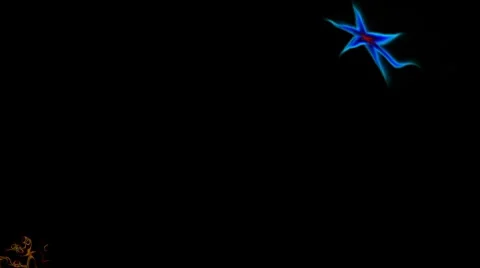 Abstraction - a starfish Stock Footage 8599165