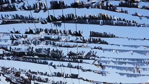 Abstraction in the street Stock Footage 75260045