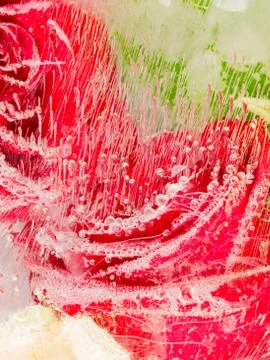 Abstraction with two red roses Stock Photos