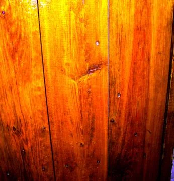 Abstraction of a yellow background of a brick tree Stock Photos