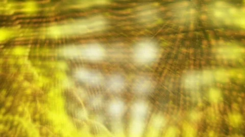 Abstracto Ripple Glow Loop Stock Footage 790828