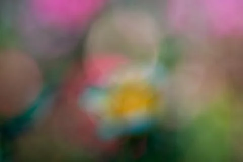Abstracts and textures Stock Photos