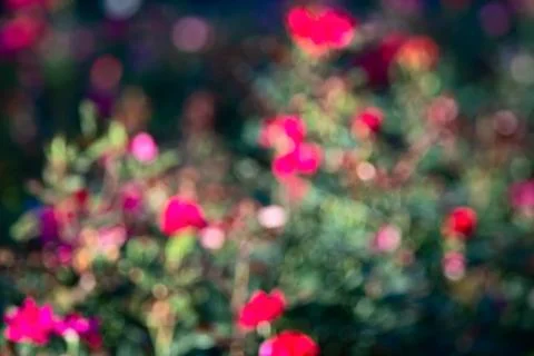 Abstracts and textures Stock Photos