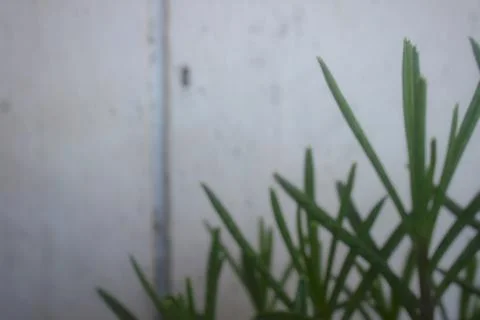 Abtract background, defocused background 스톡 사진