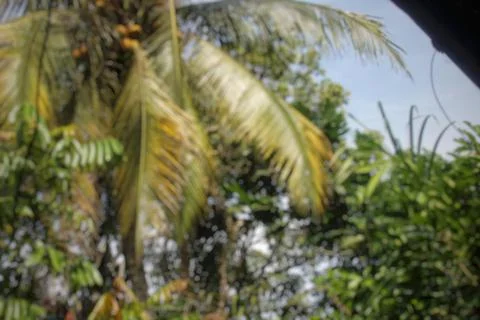 Abtract background, defocused background 스톡 사진