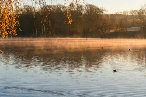 Abtskcher pond in the morning mist. Stock Photos
