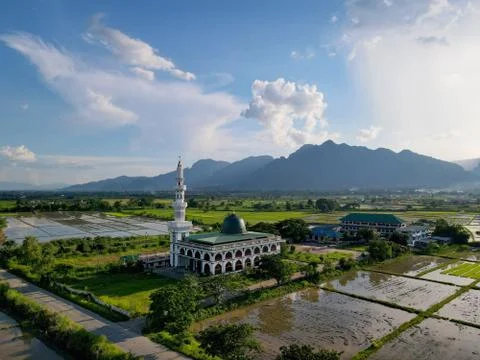 The Abu Bakr Mosque in the rice fields of Northern Thailand Foto stock