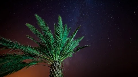 Abu Dhabi Liwa Stock Footage 70204891