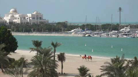 Abu Dhabi, private beach, Emirates Palace hotel, camels Stock Footage 48864696