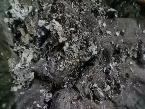 Abu Roko 写真素材