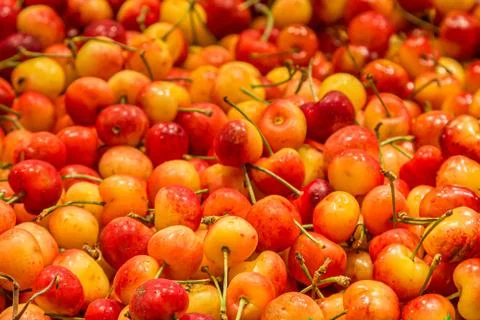 An Abundance of Cherries Stock Photos