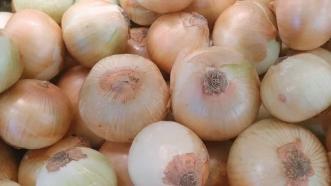 Abundant Fresh Onion Vegetables Displayed Together Video stock 344832545