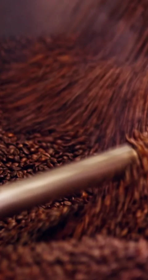 Abundant Hot Roasted Coffee Beans Pouring From Drum Roaster With Steam Video stock 331053901