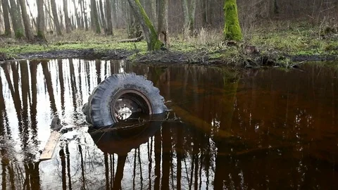 Abuse of environment. 库存影片 83061612