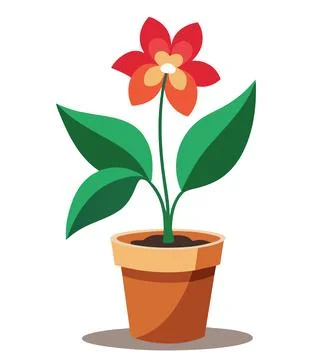 Abutilon flower. Stock Illustration